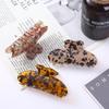 Colorful Acetate Large Dopamine Hair Claw - High-End Hairpin Accessory