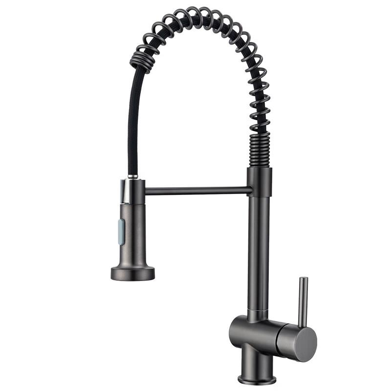 TLXT Stainless Steel Spring Kitchen Faucet