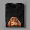 T-shirt Chuck Norris T-shirts Hipster Manches Courtes Hauts Classiques Été Coton 4XL 5XL 6XL T-shirts