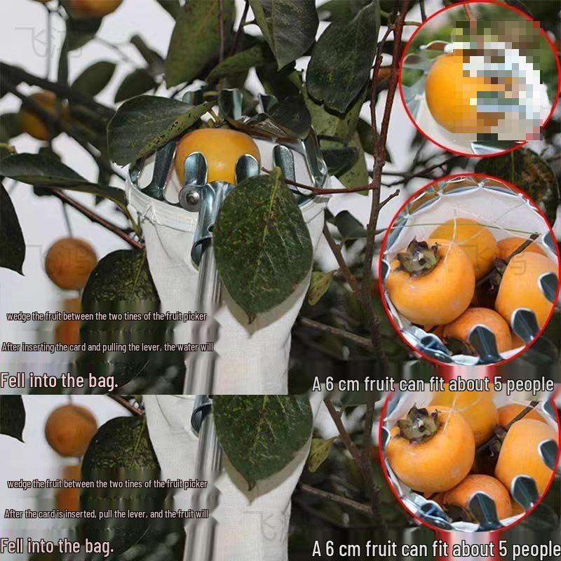Telescopic Stainless Steel Fruit Picking Tool for Persimmons, Toona Sinensis, Peaches, Apricots, and Plums.