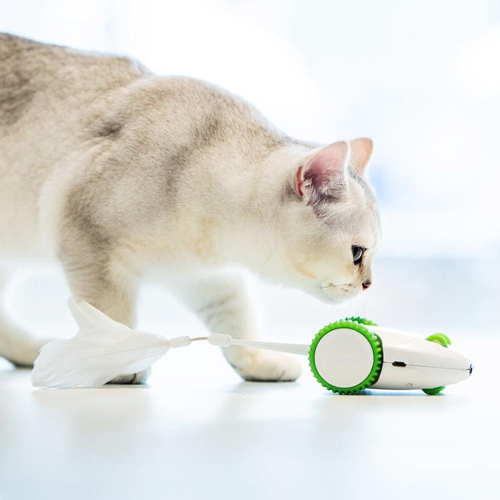 automatic cat toys