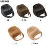 LISI HAIR Synthetic Straight Hair With Bangs 2 Clips In Hair Extensions Fake Fringe False Hairpiece For Women Wear