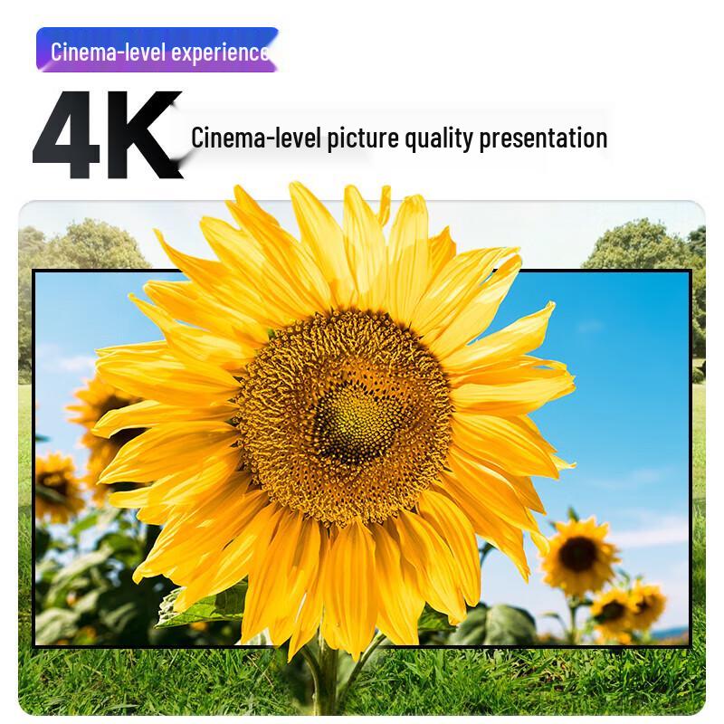 PInYUE K2 Series Fixed Frame Projector Screen