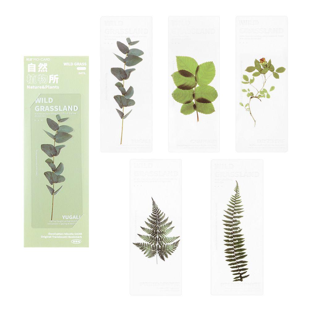 Book Note Marker PET Bookmarks Card Specimen Bookmarks Nature Plants Bookmarks Translucent Flower