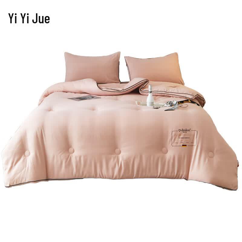 Yiyi Ai Plush Embossed All-Season Quilt