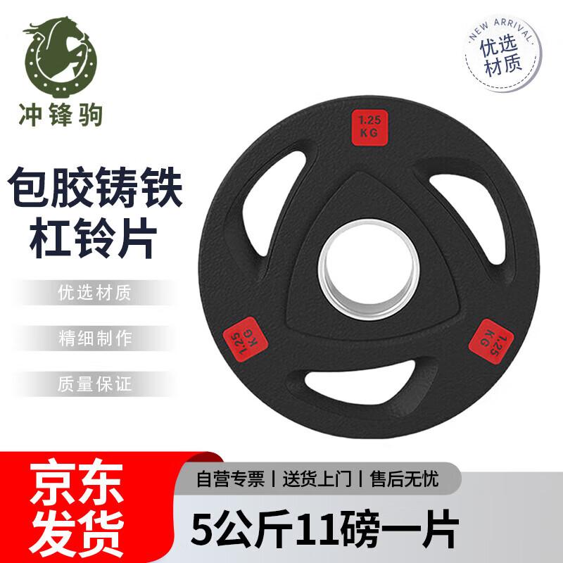 Coated Cast Iron Barbell Plate