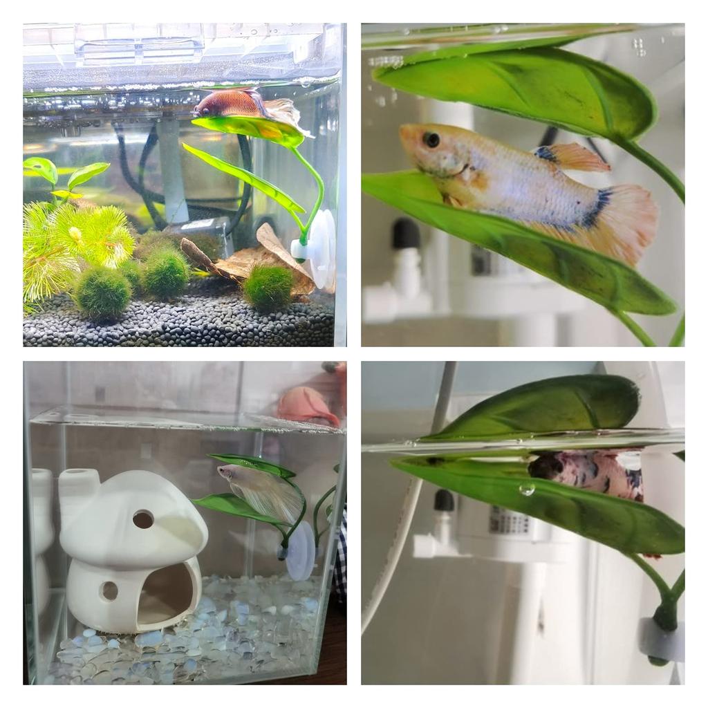 Decoração de Aquário para Animais de Estimação Peixes Betta Relaxar Brincar Plantas Folha Decoração de Aquário Desova de Peixes Folha Artificial Ornamental Rede