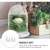 DOITOOL Glass Cloche Dome Bell Jar with Airhole and Base: 2 PCS Glass Terrarium Planter Container Decorative Clear Terrarium Planter for Plants,