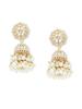 Gullfarget Tradisjonelle Kundan & Perle Jhumki Øredobber for Kvinner-ZPFK11012, stein perle,
