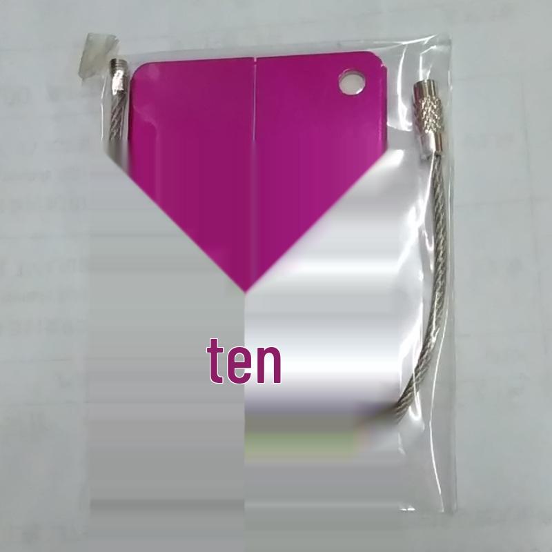 Airplane-Shaped Metal Luggage Tag and Dog Tag Business Gift