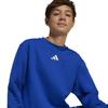 adidas Boys ALLSZN GFX Sweatshirt KPH32 Team Royal Blue Off White Size 130