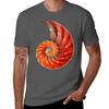Nautilus Shell Sea Shells TShirt Minimal Art Print TShirt