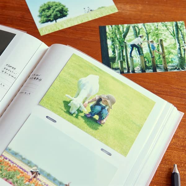 Rama Foto Marcaje Foto Mare L Suportă 200 Album Foto, Album, Capacitate, Buzunar, Dimensiune, Cărți Poștale, Aniversare, Cadou, Album, Pânză, CG-AL11-LN