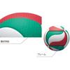 Molten V4M5000 Freistat Volleyball - High Performance Sports Ball