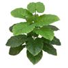 18 Leaves Artificial Tropical Taro Leaf Lifelike Green Taro Leaves  Office Desktop Decoration