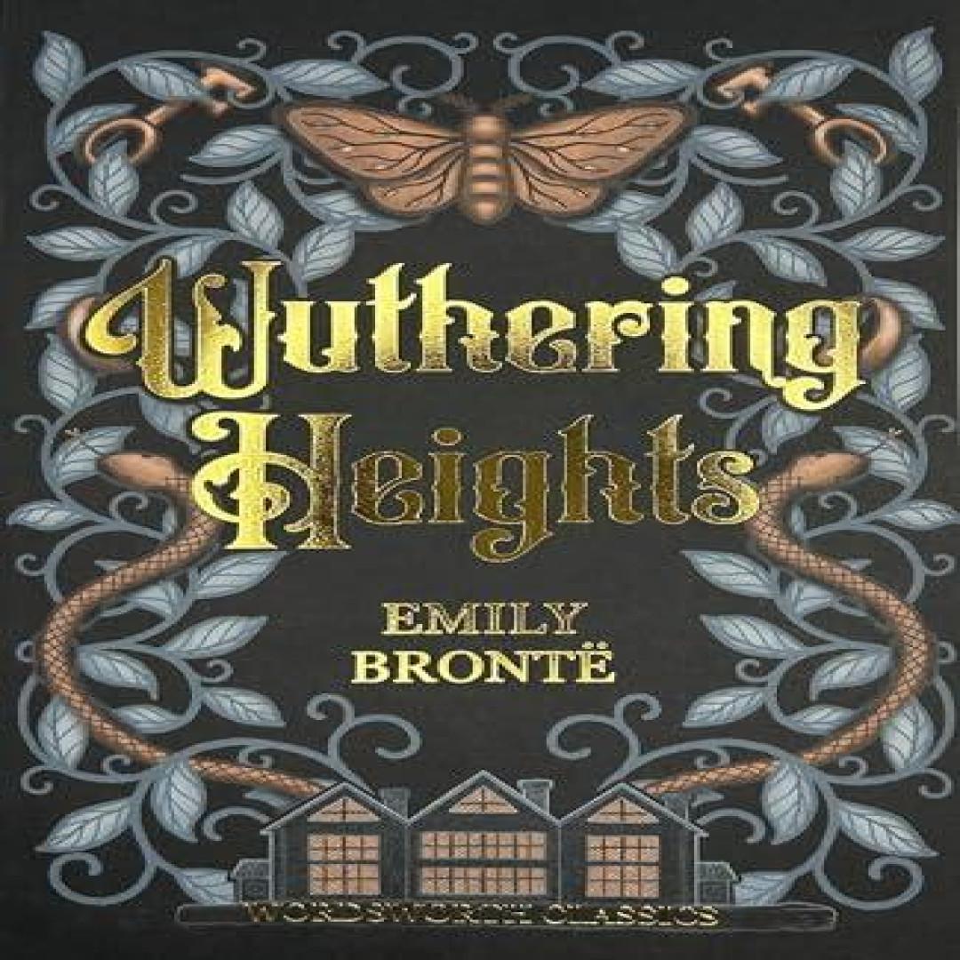 Sturmhöhe von Emily Brontë Taschenbuch 9781853260018