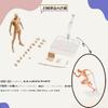 Drawing Male Female Model with Stand by Professional Manga for Manga and Muscle Drawing Sketch Drawing Art Educational Male Doll, 30-Jointed, &
