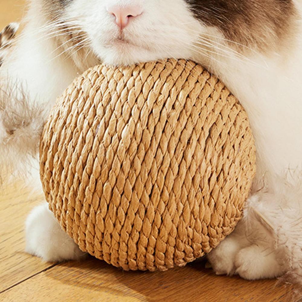 

Natural cat ball cat scratching ball with sound interactive cat scratching ball toy large PET rolling ball pet cat