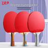 Genuine 729 Table Tennis Racket 123456789 - Beginner To Pro Level