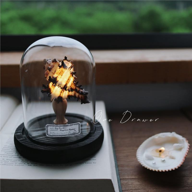 DIY Sea Creature Night Lights Battery Operated Portable Mushroom Lamp Shell Conch Ornament For Home Bedroom Decoration