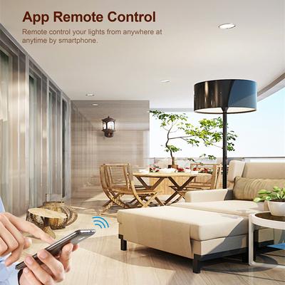 DM01 2 Gang WiFi Smart Light Switch Voice Control Timer Dimmer Module Remote Lighting Controller