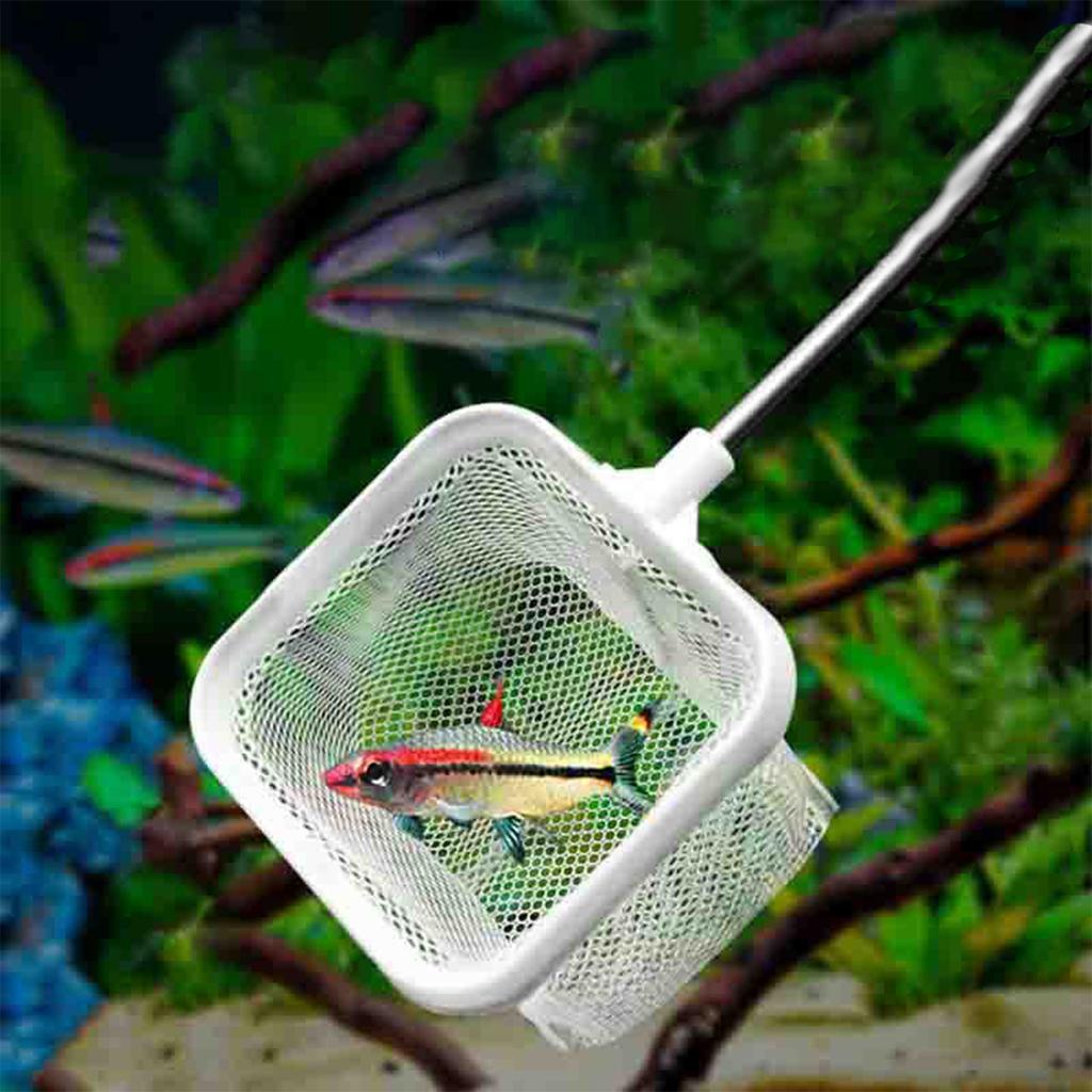 Square/Round Fine Fishing Net with Retractable Stainless Steel Hand Aquarium/Fish Tank Catch Small Fish Shrimp Clean Accessories