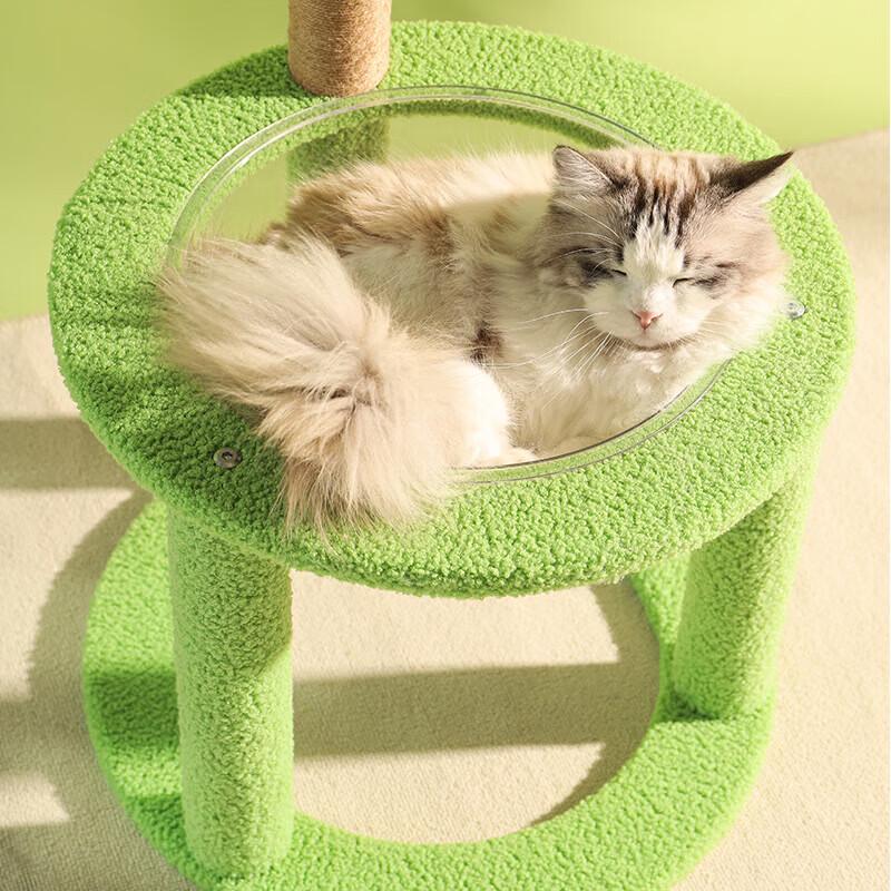 Cactus Cat Tree & Scratcher with Space Capsule