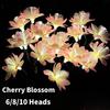 Solar 6Heads Camellia Flower Flower Solar Lights Outdoor Waterproof Fairy Atmosphere Night Light Outdoor Garden Decoration