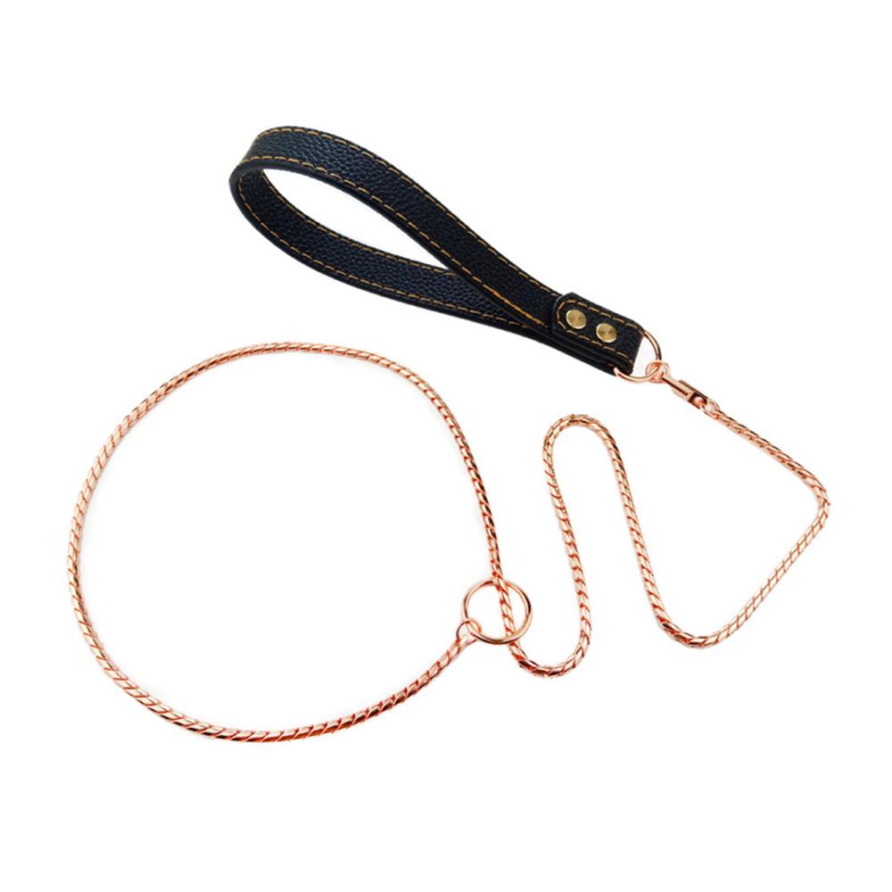 Stainless Steel Dog Leash Integrated Dog Collar and Leash 4mm 1m/1.2m Metal Dog Leash for Small Medium Large Pets Leather Handle