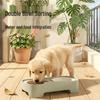 Eco-friendly Double Cat & Dog Bowl: Slanted Design for Cervical Protection - Food & Water Bowl