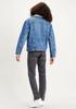 Демисезонная куртка Levi's Type 3 Sherpa Trucker Jacket fable