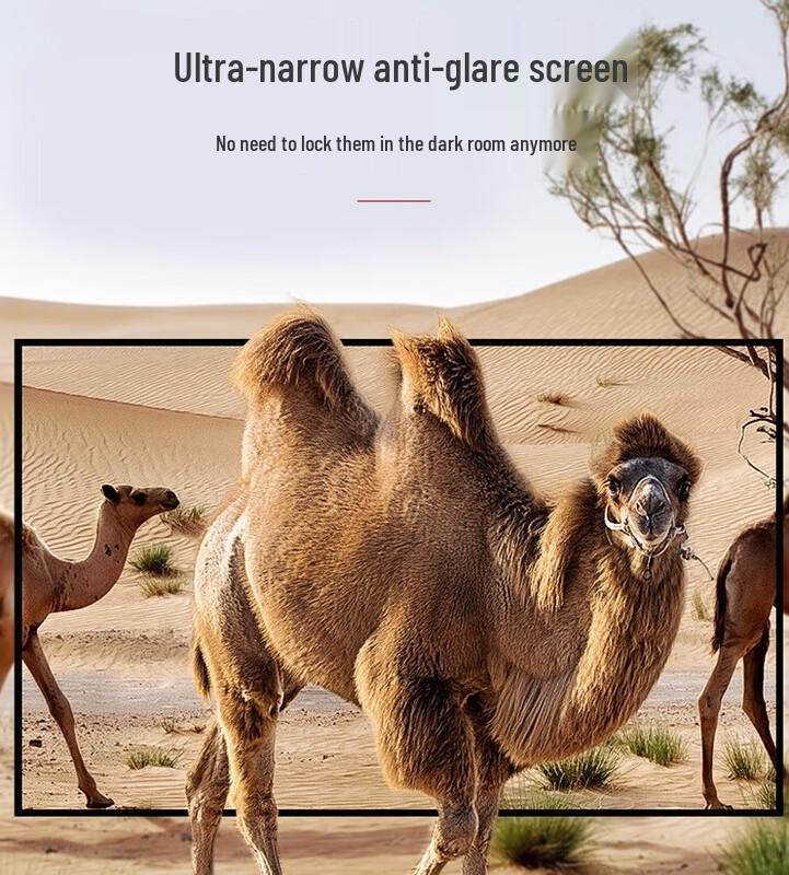 

Hongye Crystal Diamond Anti-light Fixed Frame Projector Screen