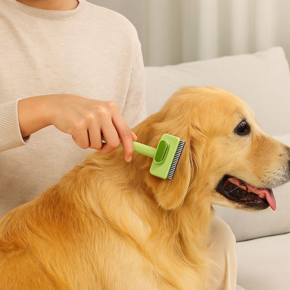 Stainless Steel Pet Grooming Brush Double Sided Cat Hair Remover Deshedding Brush  Kitten Grooming
