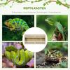Terrarium for Reptiles/Amphibians, Glass Sliding Doors, Ventilation Grille, 120x50x50cm