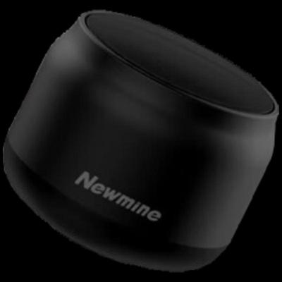 Newman BT31 Tragbarer Bluetooth-Lautsprecher CN-Stecker (Adapter enthalten)