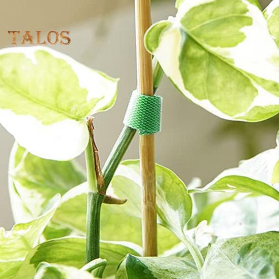 1 rolka zielonych pasków do roślin Ekologiczna dwustronna taśma ogrodowa wielokrotnego użytku Trwały pasek podtrzymujący do roślin pnących