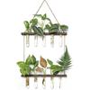 Mkono Plant Propagation Tubes, 2 Tiered Wall Hanging Plant Terrarium with Wooden Stand Vase Glass Planter Stations for Hydroponic Flower Cutting Home