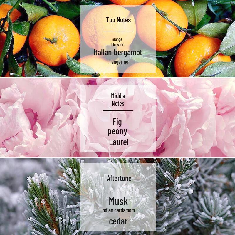 Kérastase Radiance Clarifying Shampoo 80ml