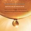 Dieyin Horse Oil Moisturizing Shampoo