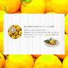 Savex Stick Lip Cream Yuzu Japan Exclusive