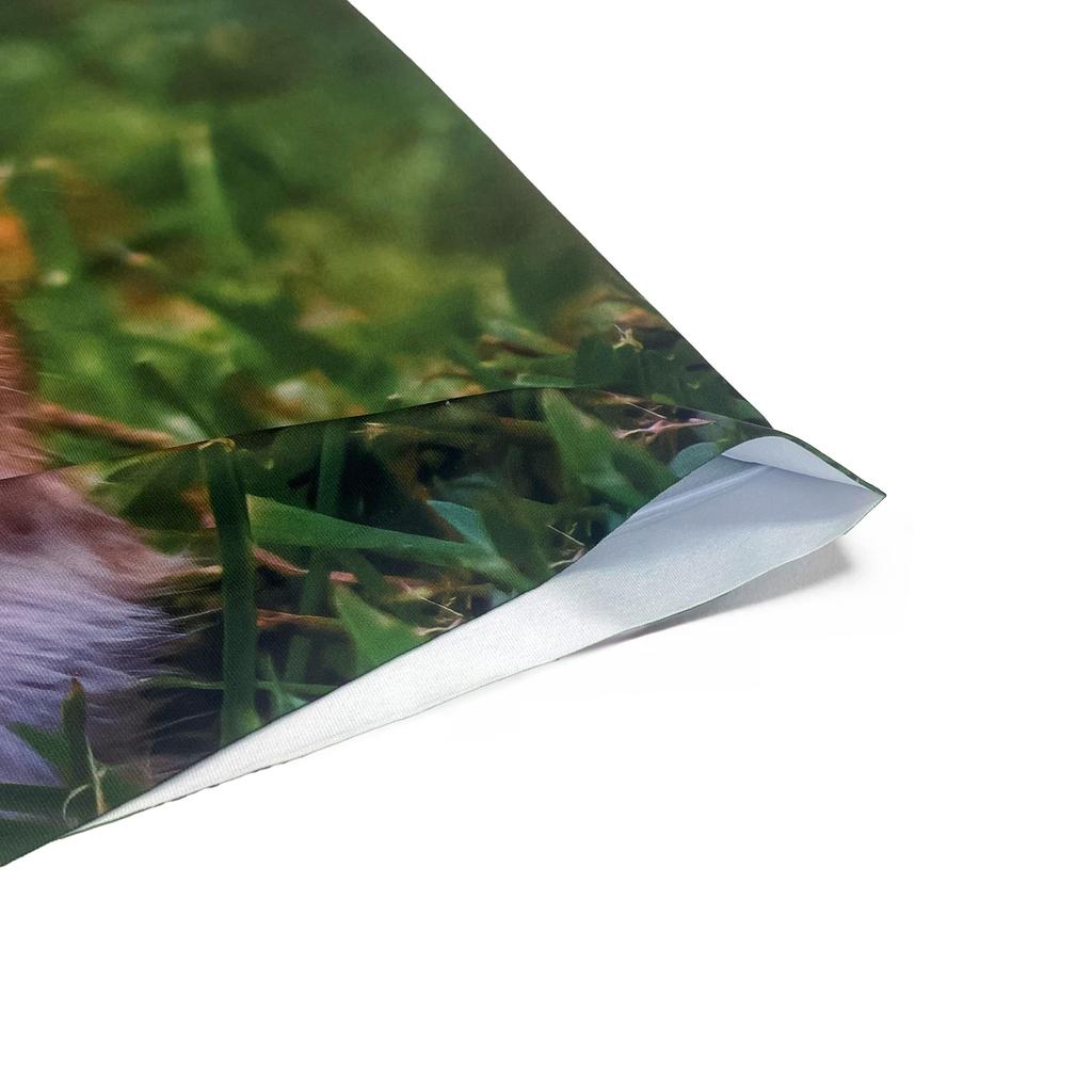 ANIMAL (Chipmunk) Men's Polyester Boxer Briefs, HIPSHOP HF4241A126