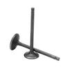 Exhaust Intake Valve Kit Black Exhaust Intake Valve Set Replacement for XG250 TRICKER 2004?2017