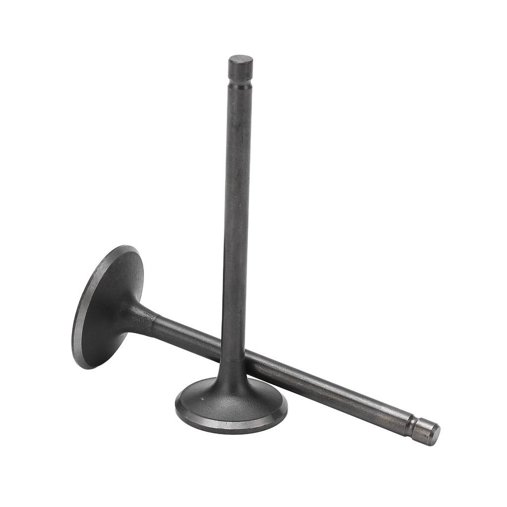 Exhaust Intake Valve Kit Black Exhaust Intake Valve Set Replacement for XG250 TRICKER 2004?2017