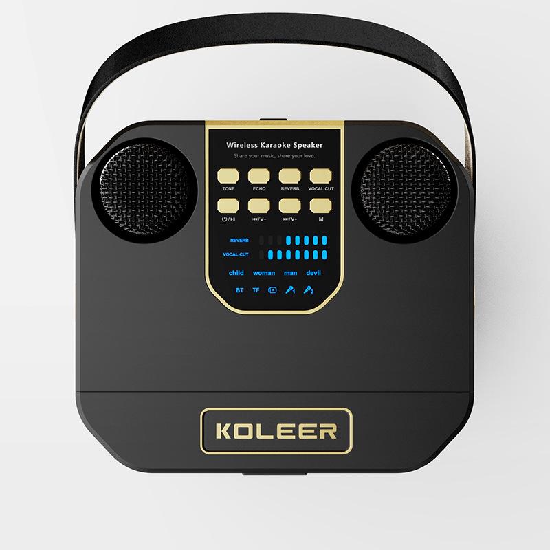 KTV Singer Double Speaker S882: Essential for Family Gatherings & Outdoor Dining, Portable.