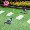 Garden Pigeon Outdoor Space Package Content Specifications