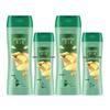 Hazeline Ginger Ginseng Root Strengthening Shampoo (2-Pack)