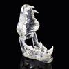 Educational Dental Animal Resin Teeth Dog Cat Rabbit Dental Teaching Canine  Veterinary Accessories