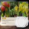Mini USB Essential Oil Diffuser Quiet Automatic Aromatherapy Machine for Home Car Office Travel Air Freshener