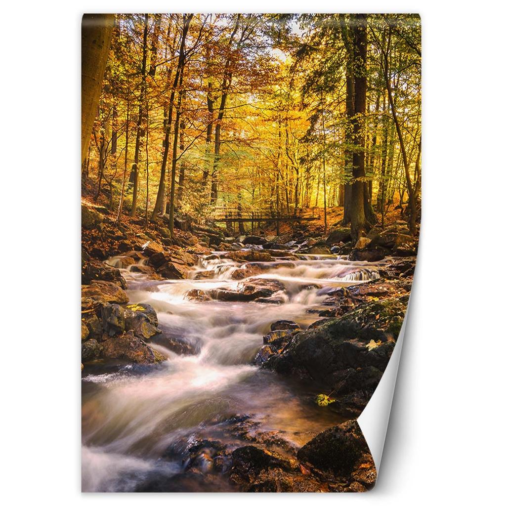 Fototapeta Vodopád v lese