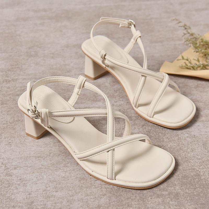 Beautiful sandals women's 2025 summer new outer wear fairy style thick heel French small high heels women's shoes